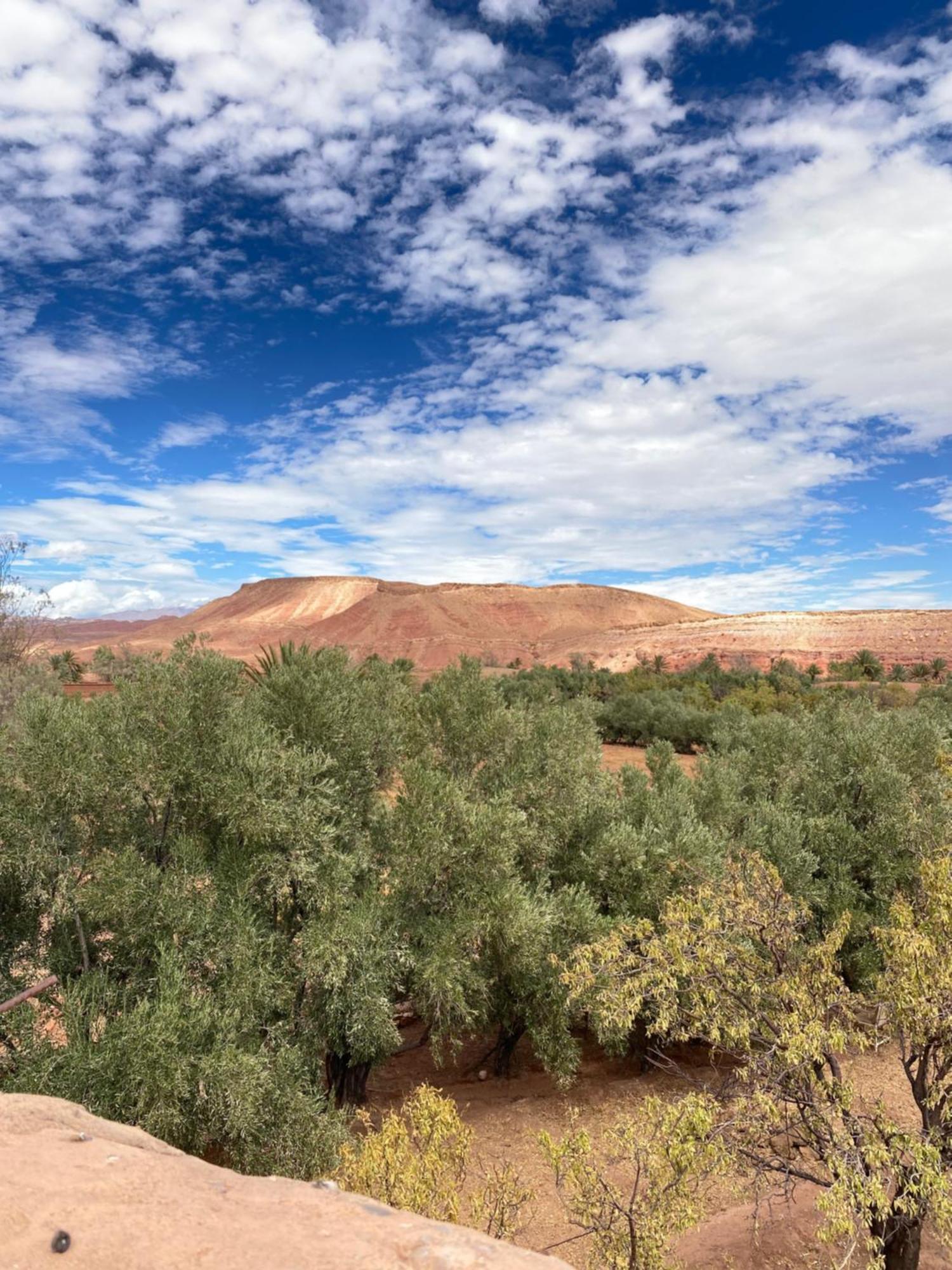 Dar Adiafa Dar Asalam Hotel Ait Benhaddou Exterior foto